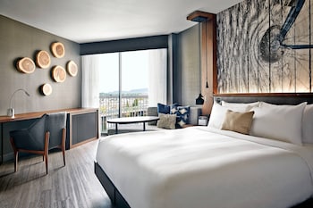 Room, 1 King Bed