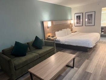 Standard Room, 1 King Bed with Sofa bed, Non Smoking