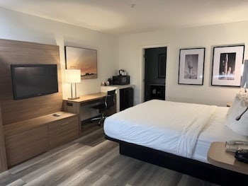 Standard Room, 1 King Bed, Accessible, Non Smoking