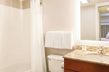 Queen Studio, 1 King Bed with Sofa bed (Hearing Accessible)