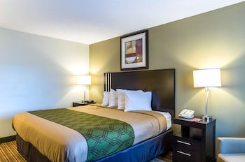 Standard Room, 1 King Bed, Accessible, Non Smoking