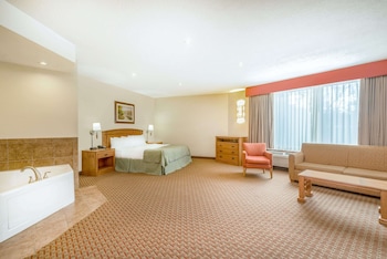 Deluxe Room, 1 King Bed, Non Smoking