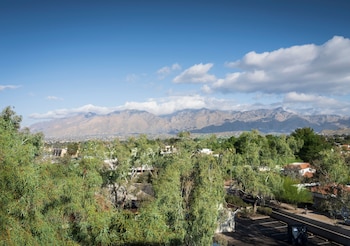 Suite, 1 King Bed, Accessible, Mountain View (Mobility & Hearing, Bathtub)
