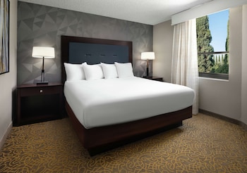Suite, 1 King Bed, Accessible (Roll-In Shower)