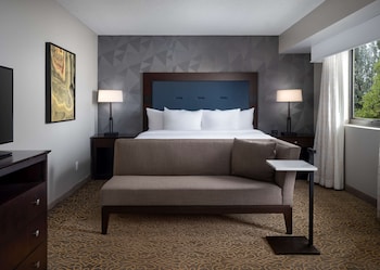 Studio Suite, 1 King Bed