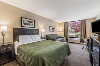 Standard Room, 1 Queen Bed with Sofa bed, Non Smoking