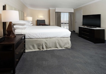 Suite, 1 King Bed