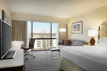 Room, 1 King Bed, Accessible, Bathtub (Mobility & Hearing)