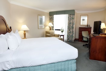 Room, 1 King Bed