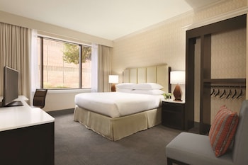 Room, 1 King Bed, Accessible, Bathtub (Mobility & Hearing)