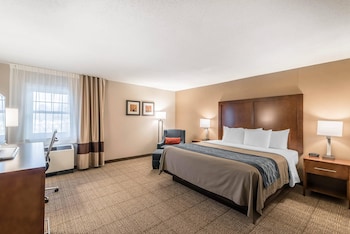 Standard Room, 1 King Bed, Non Smoking