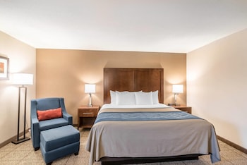 Standard Room, 1 King Bed, Non Smoking