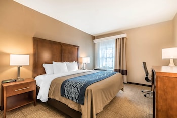 Room, 1 King Bed, Accessible, Non Smoking