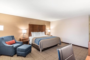 Standard Room, 1 King Bed, Non Smoking
