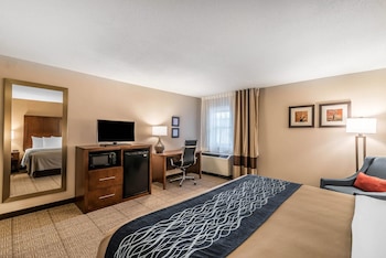 Standard Room, 1 King Bed, Non Smoking
