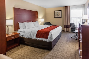 Standard Room, 1 King Bed, Non Smoking (1st  Floor No Pets)