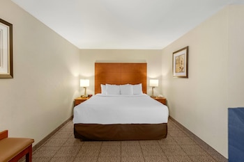 Suite, 1 King Bed with Sofa bed, Non Smoking