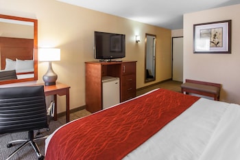 Standard Room, 1 King Bed, Non Smoking (1st  Floor No Pets)
