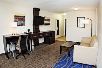Suite, 1 King Bed