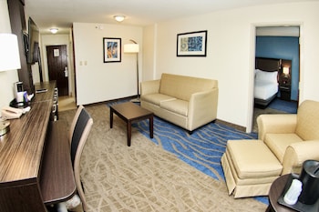 Suite, 1 King Bed