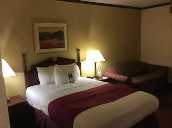 Room, 1 Double Bed, Non Smoking