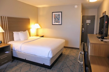 Room, 1 Queen Bed, Non Smoking
