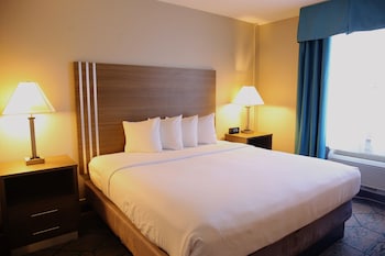 Room, 1 King Bed, Non Smoking