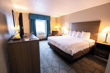 Room, 1 King Bed, Smoking