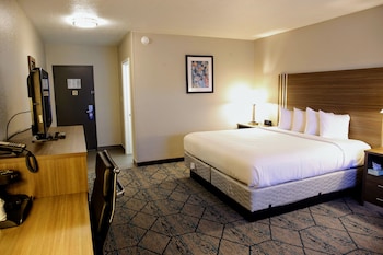 Room, 1 King Bed, Non Smoking