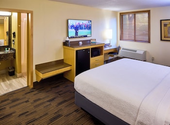 Premium Room, 1 King Bed, Accessible, Non Smoking