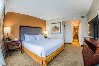 Suite, 1 King Bed with Sofa bed, Non Smoking