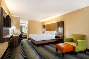 Room, 1 King Bed, Non Smoking