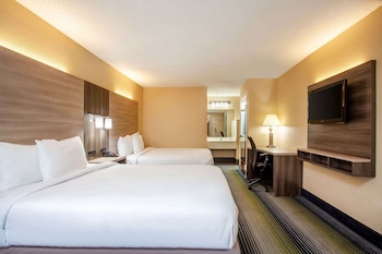 Room, 2 Queen Beds, Non Smoking (Pet-Friendly)