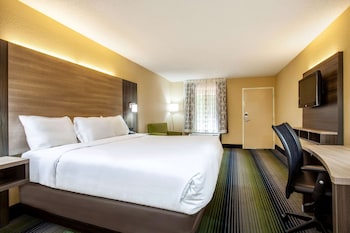 Room, 1 King Bed, Non Smoking