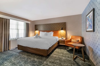 Room, 1 King Bed, Non Smoking (Roll-In Shower)