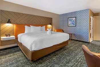 Room, 1 King Bed, Non Smoking (Roll-In Shower)
