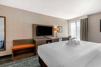 Standard Room, 1 King Bed, Walk In Shower, Non Smoking