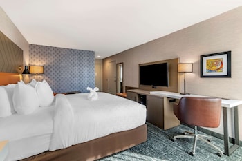 Standard Room, 1 King Bed, Walk In Shower, Non Smoking
