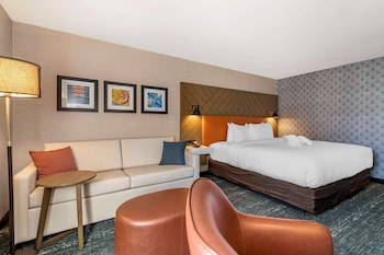 Standard Room, 1 King Bed, Walk In Shower, Non Smoking
