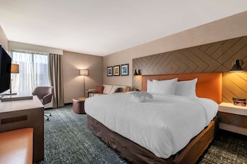Standard Room, 1 King Bed, Walk In Shower, Non Smoking