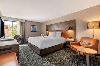 Standard Room, 1 King Bed, Walk In Shower, Non Smoking