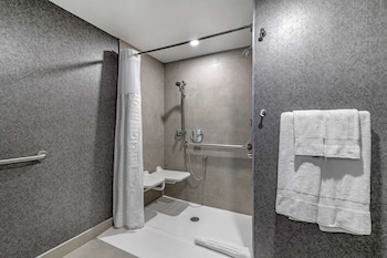 Room, 1 King Bed, Non Smoking (Roll-In Shower)