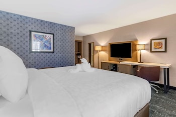 Room, 1 King Bed, Non Smoking (Roll-In Shower)