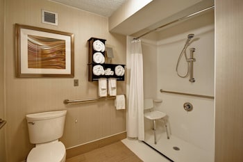 Room, 1 King Bed, Hearing Accessible (Roll-in Shower & Transfer Shower)