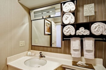 Room, 1 King Bed, Hearing Accessible (Roll-in Shower & Transfer Shower)