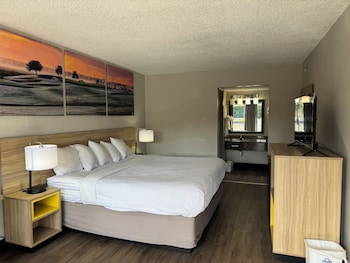 Room, 1 King Bed