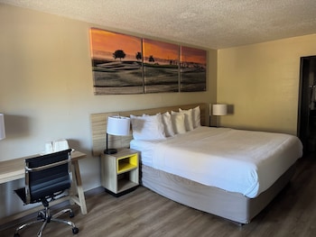 Room, 1 King Bed