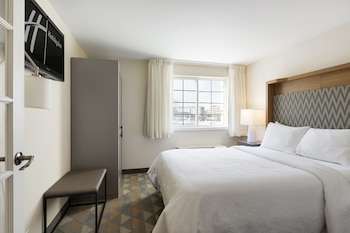 Suite, 1 Bedroom