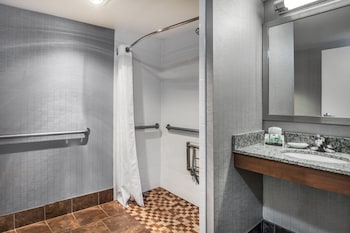 Standard Room, 1 King Bed, Accessible (Roll-In Shower)