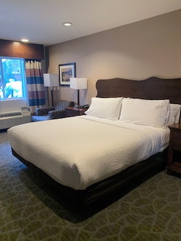 Standard Room, 1 King Bed, Bathtub (Hearing, Mobility)